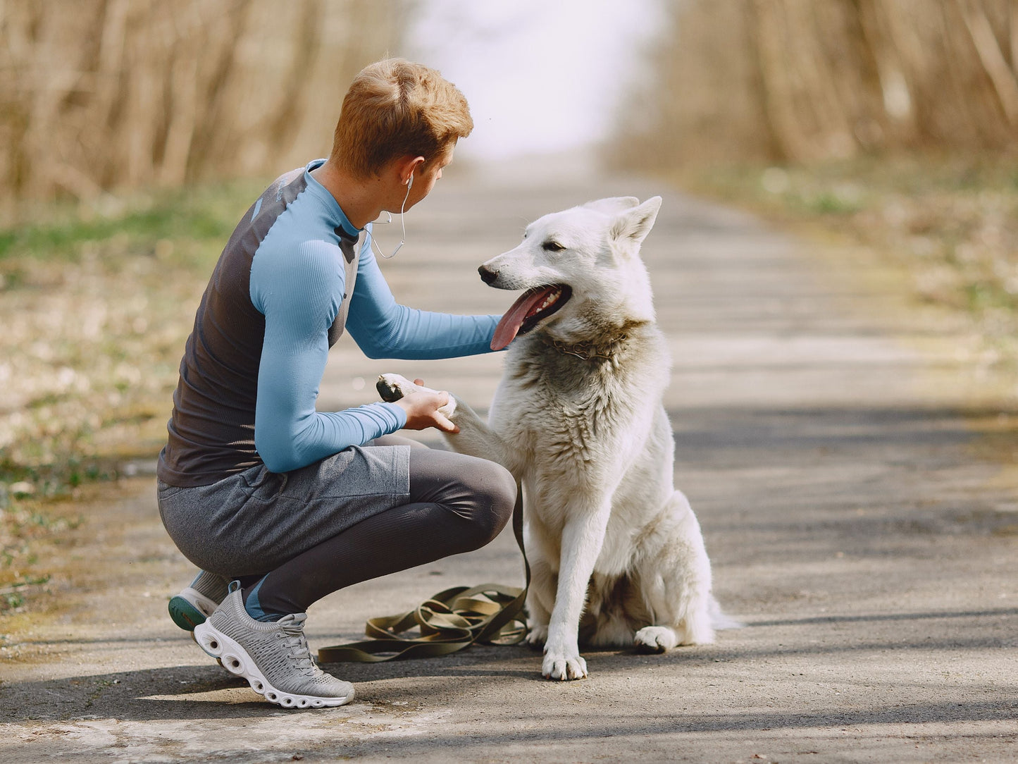 Leitura psíquica pormenorizada para animais de estimação