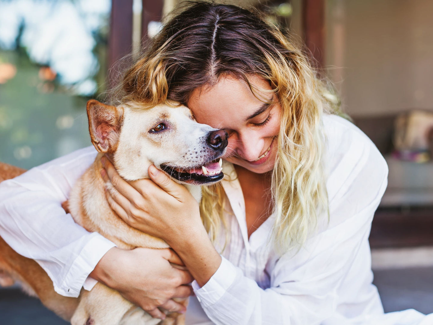 Leitura psíquica pormenorizada para animais de estimação